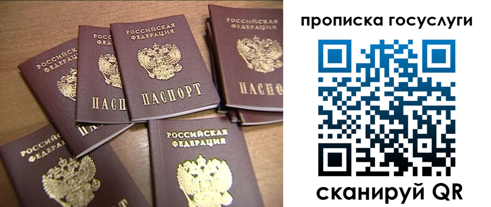 прописка для работы в Ростове